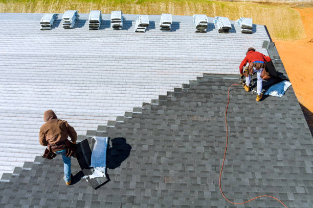 Best Metal Roofing Contractor  in Shandon, CA